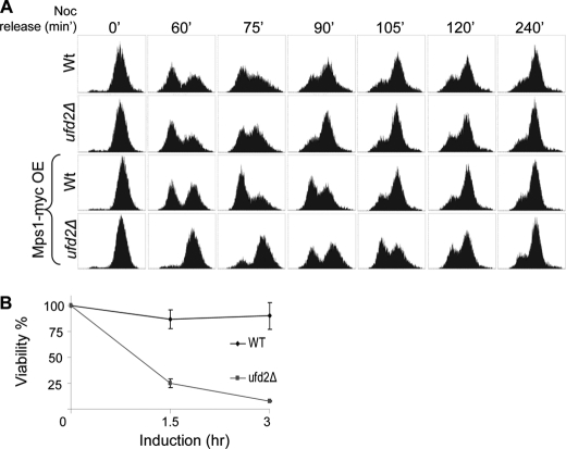 FIGURE 5.