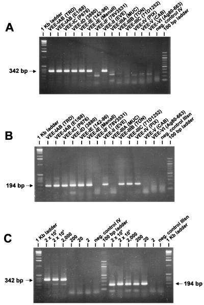 FIG. 5