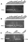 FIG. 5