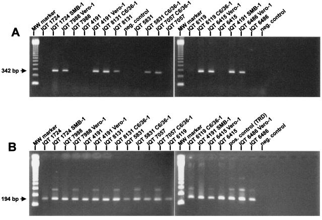 FIG. 6