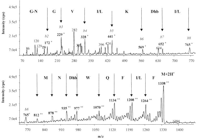 FIG. 3