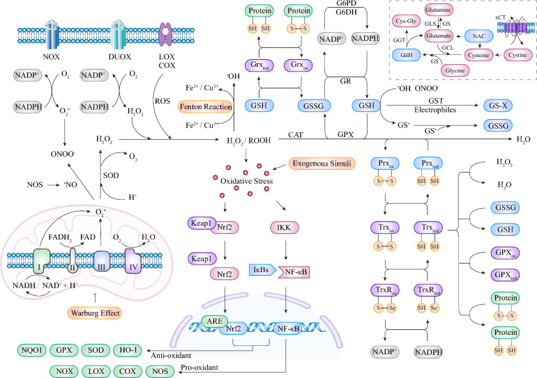 Fig. 2
