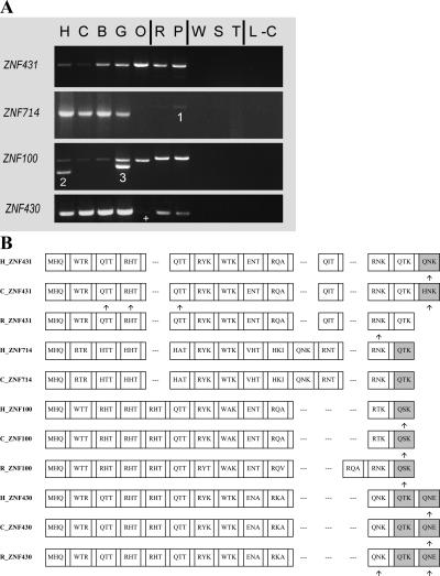 Figure 4.