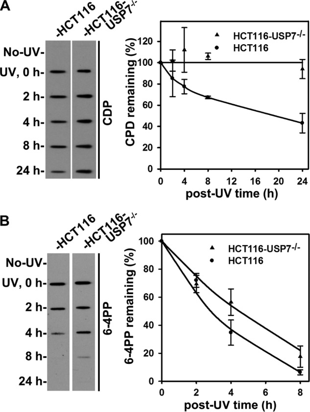 FIGURE 9.