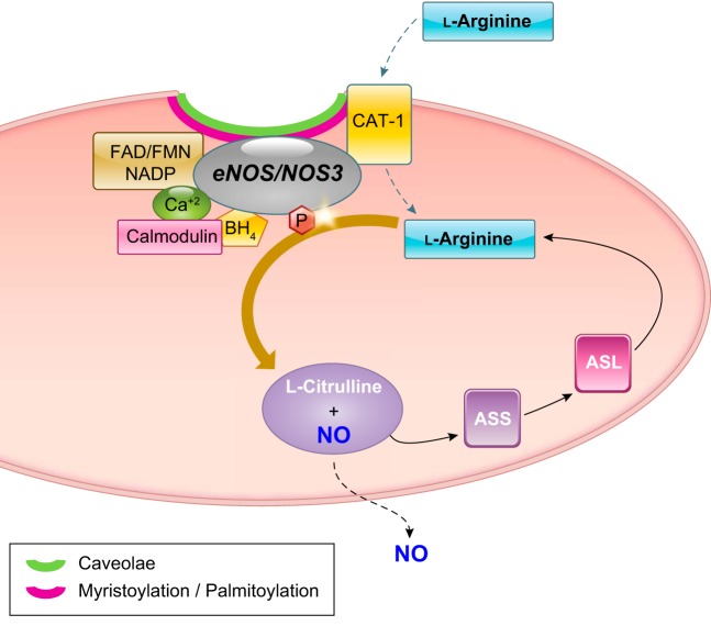 FIGURE 4.