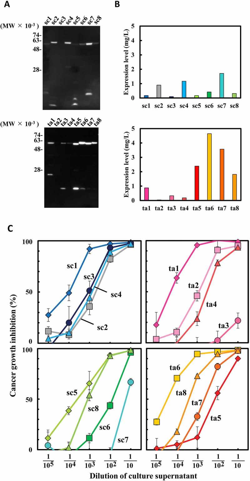 Figure 2.