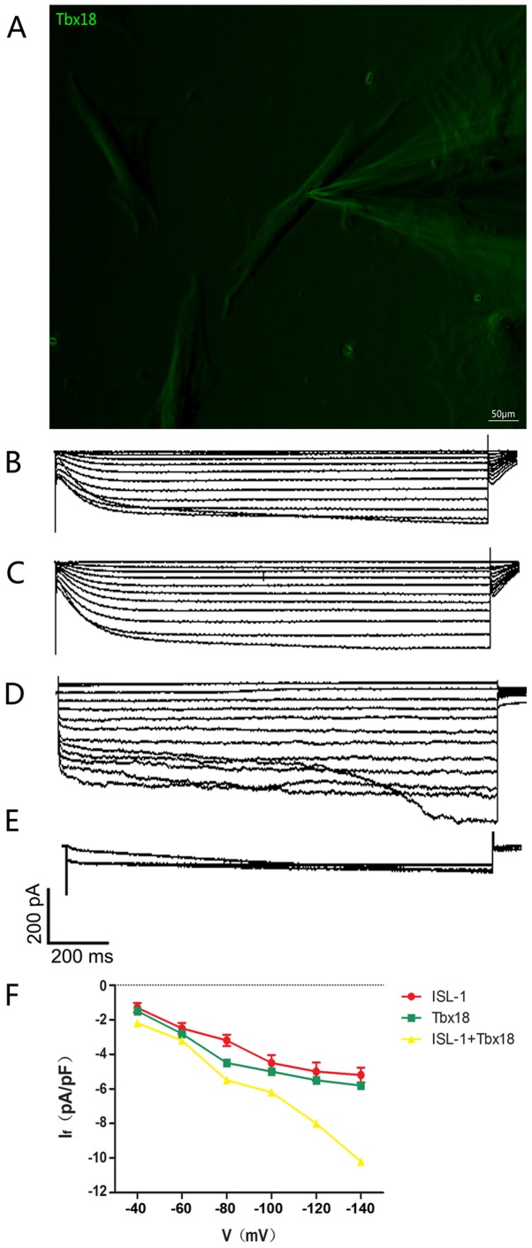 Figure 4.