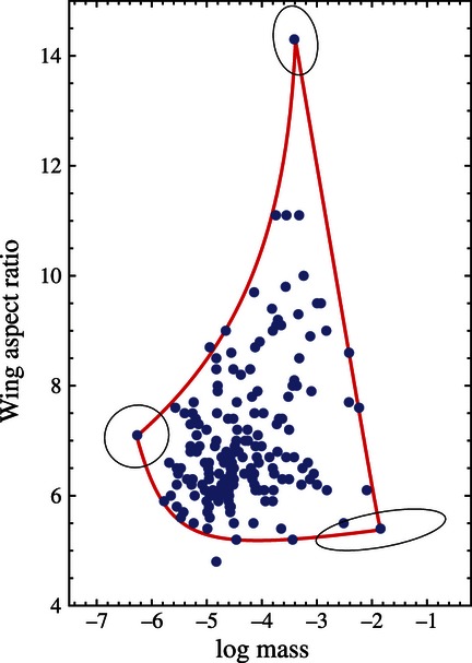 Figure 8