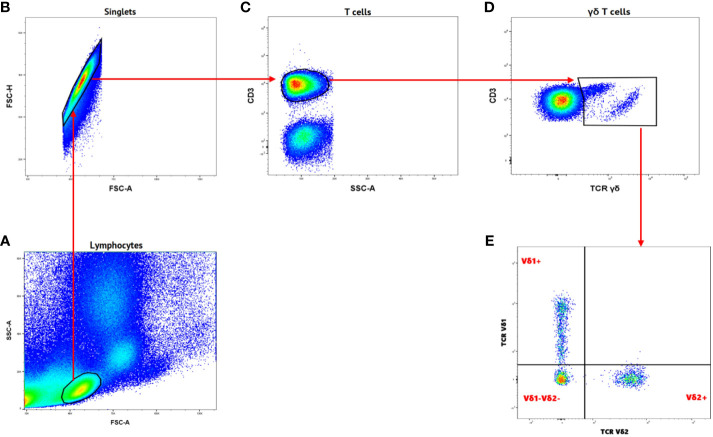 Figure 1