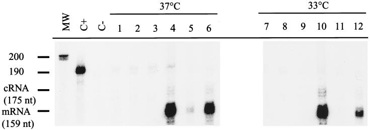 FIG. 6