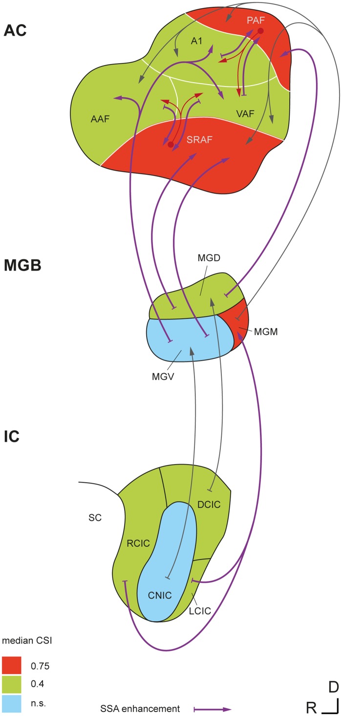 Fig 9