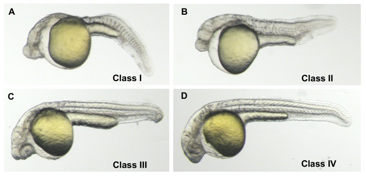 Figure 1—figure supplement 4.