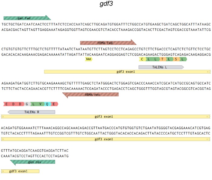 Figure 1—figure supplement 1.