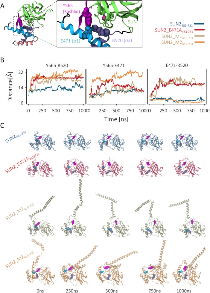 FIGURE 5: