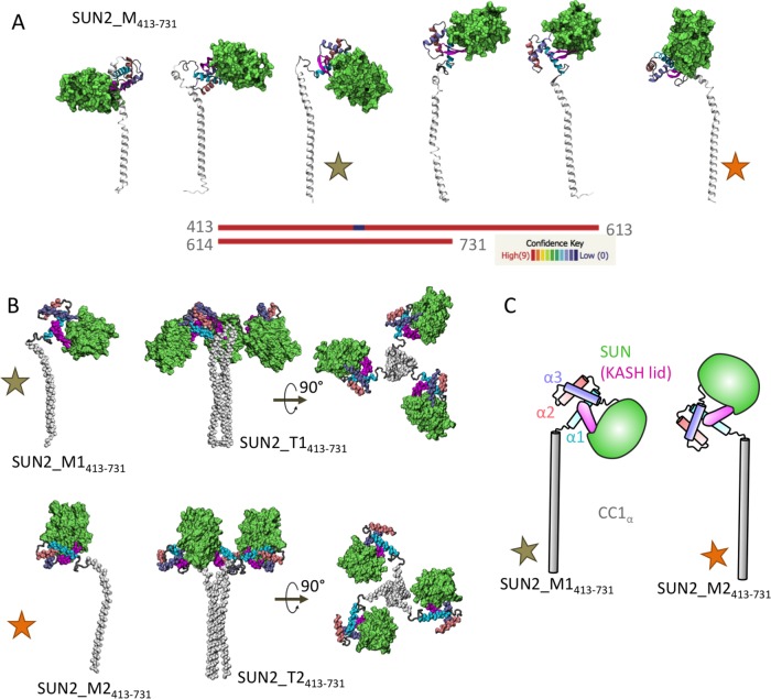 FIGURE 2: