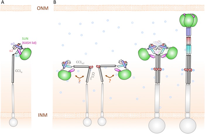 FIGURE 9: