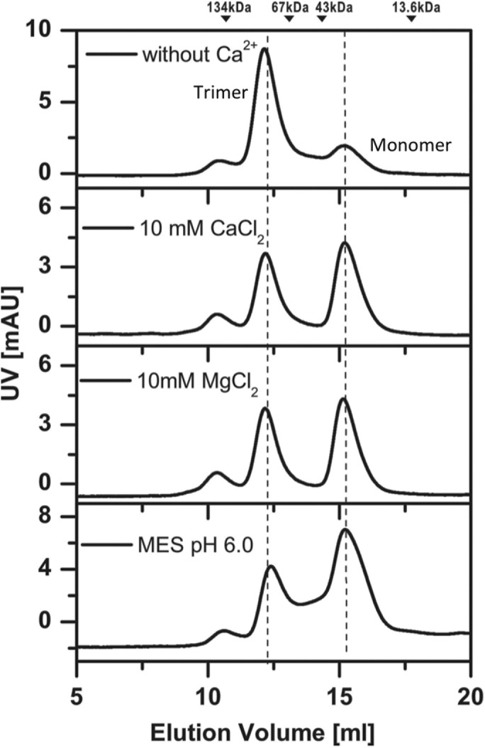 FIGURE 8: