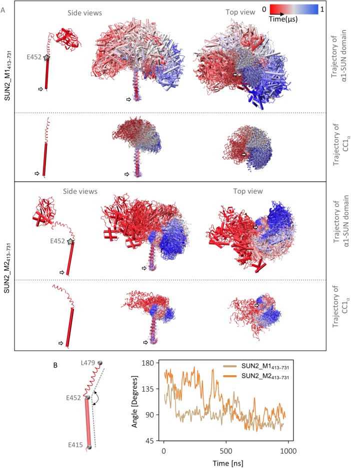 FIGURE 3: