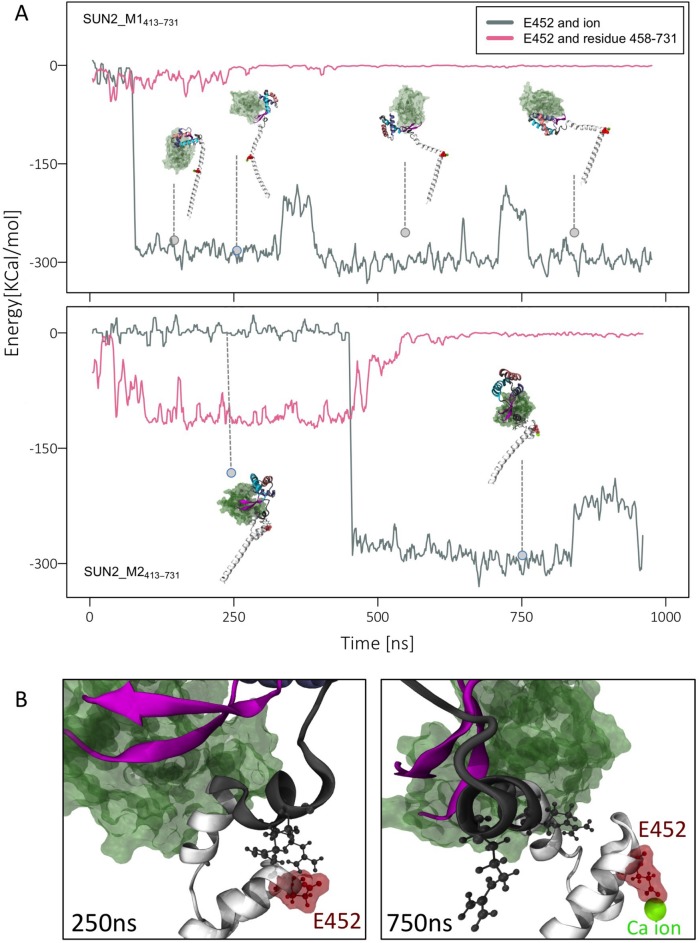 FIGURE 7: