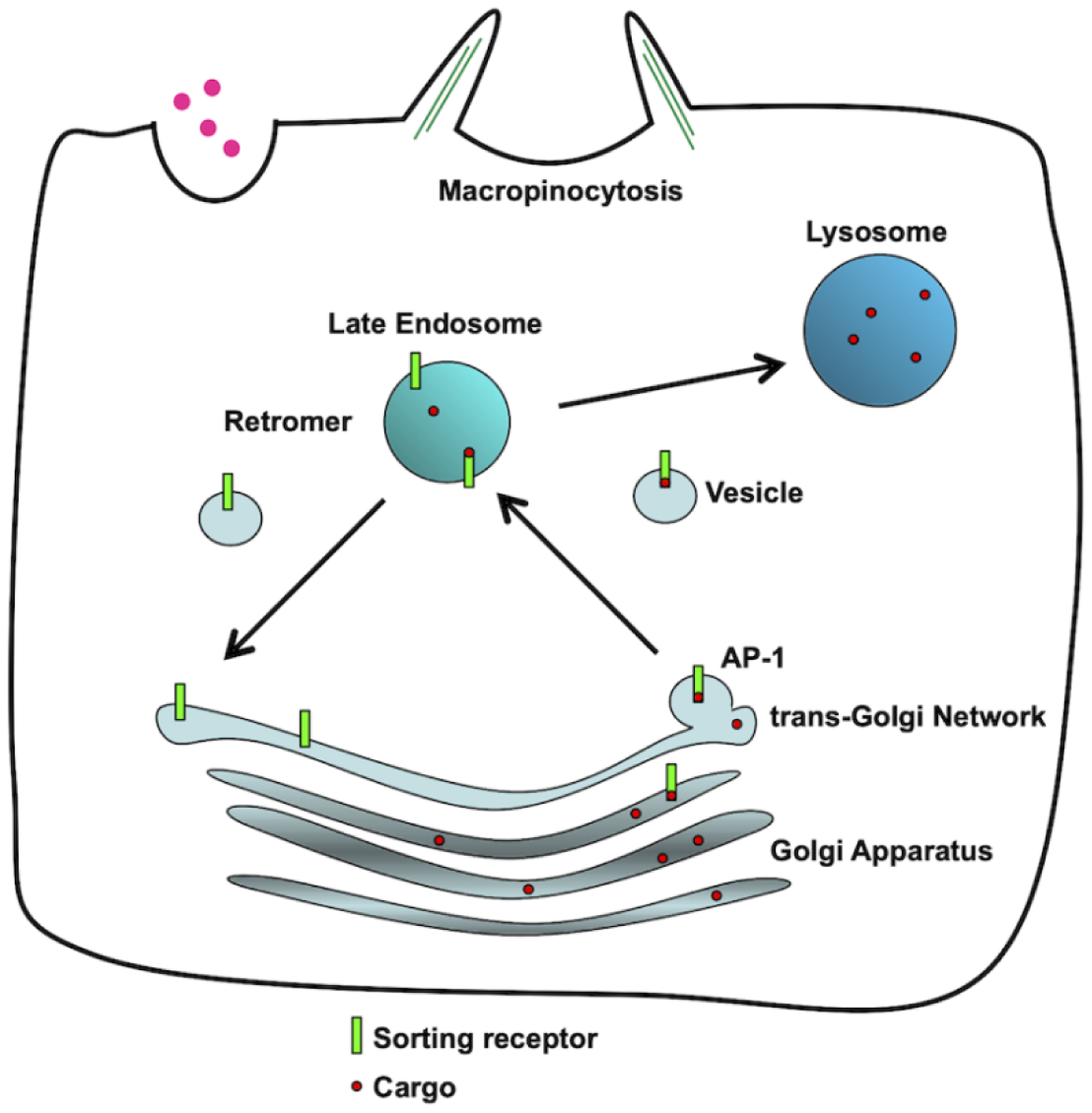 Figure 2.