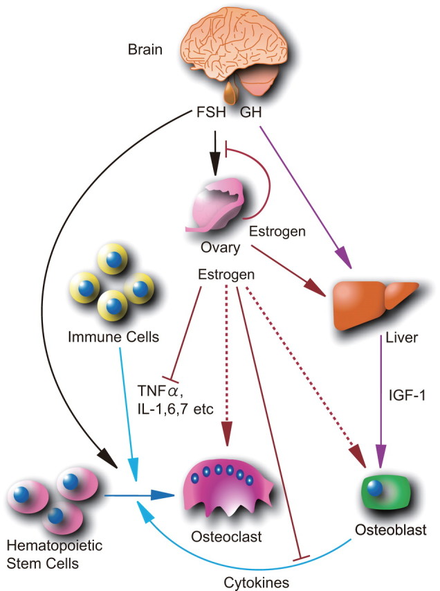 Fig. 3.