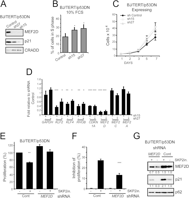 FIG 6