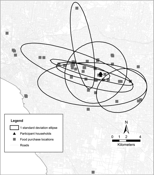 Fig. 4