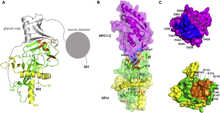 Figure 3