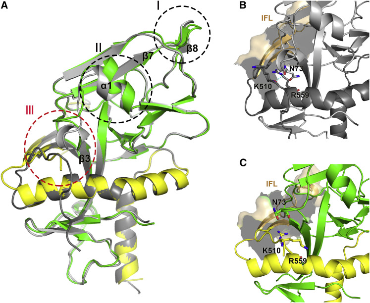 Figure 5