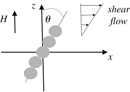 Figure 13.