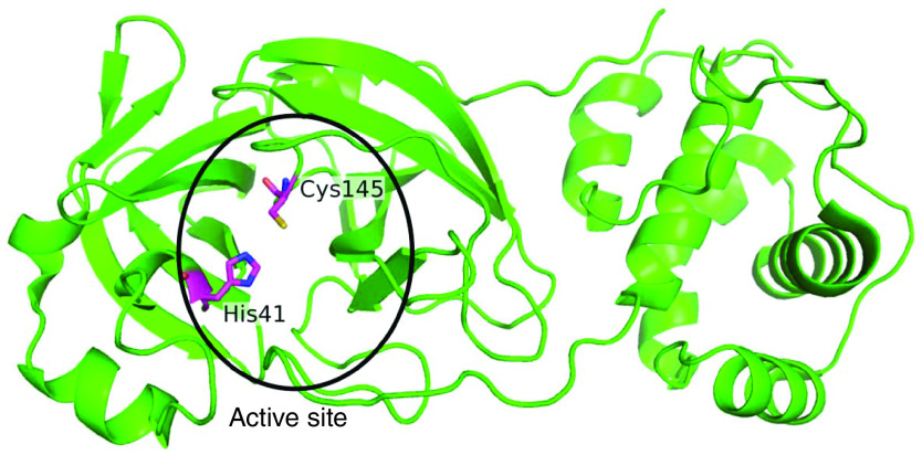 Figure 1. 