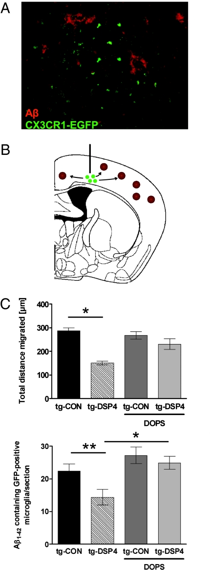 Fig. 4.