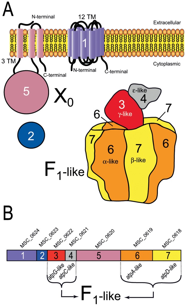 Figure 6