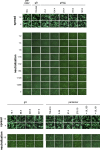 FIG 3