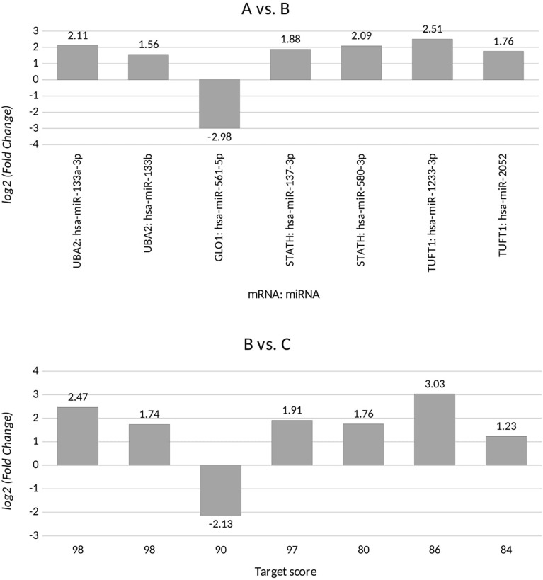 Figure 2