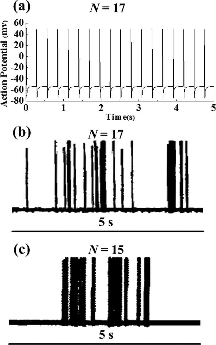 Fig. 10