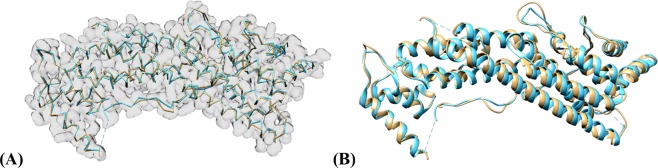 Figure 10