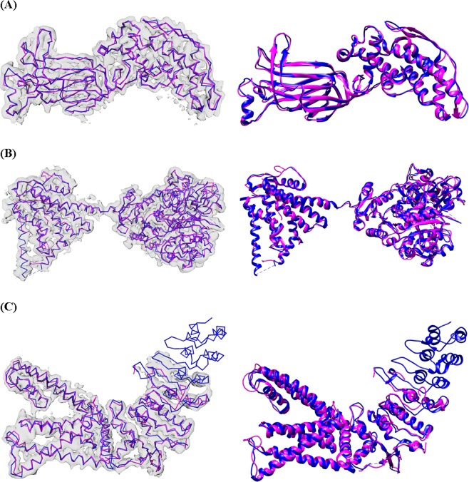 Figure 11