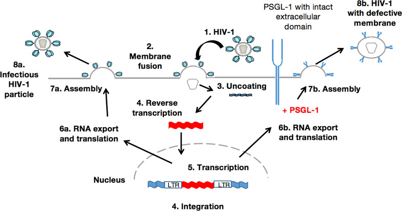 Figure 2