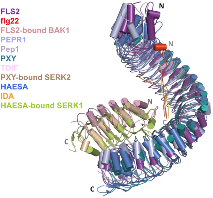 Figure 1.