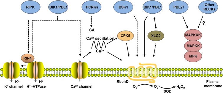 Figure 3.