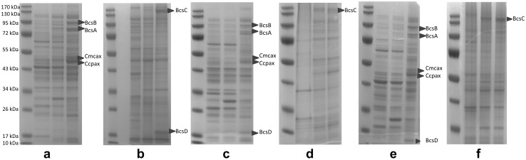 Fig. 3