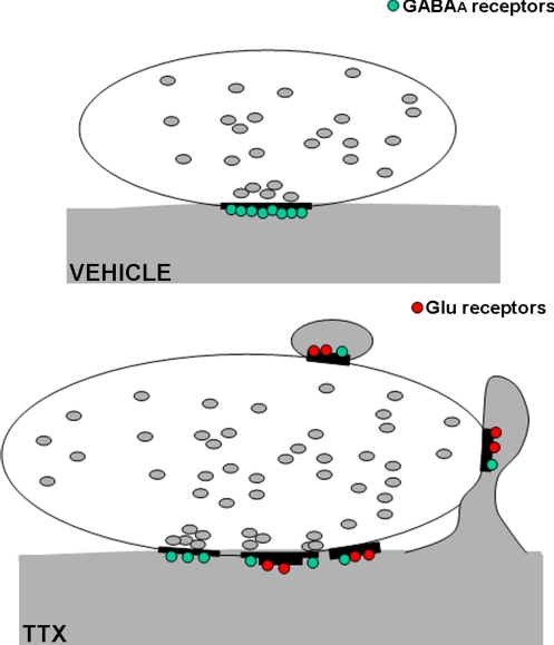 Fig. 5.