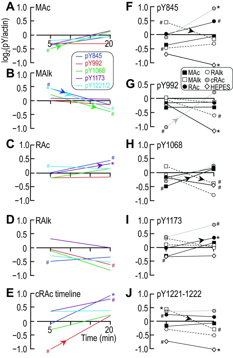 Fig. 13.