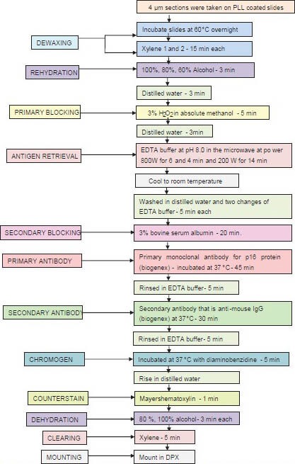 Flow Chart 1