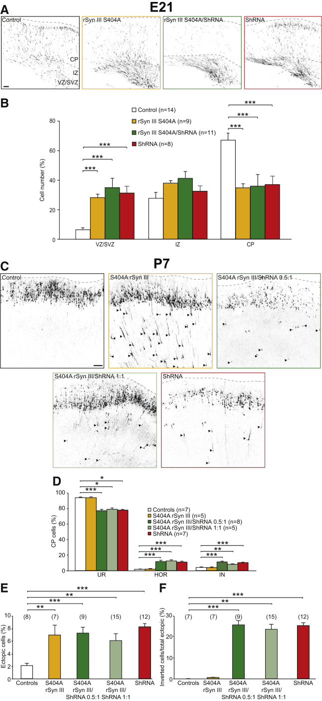 Figure 6