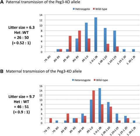 Figure 2.