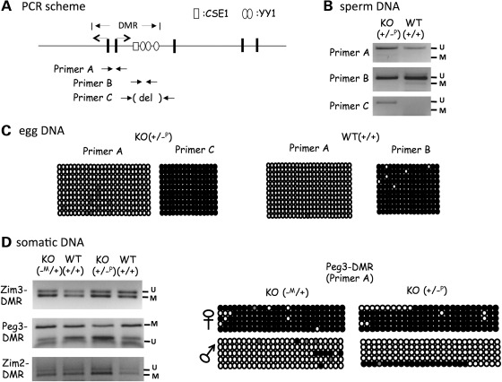 Figure 4.