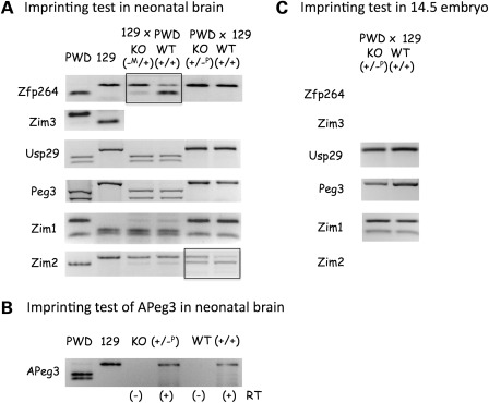 Figure 3.