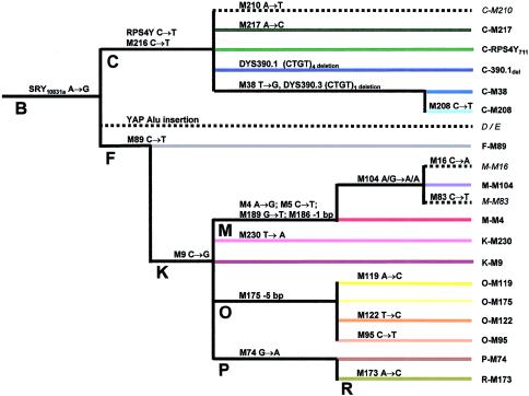 Figure  2